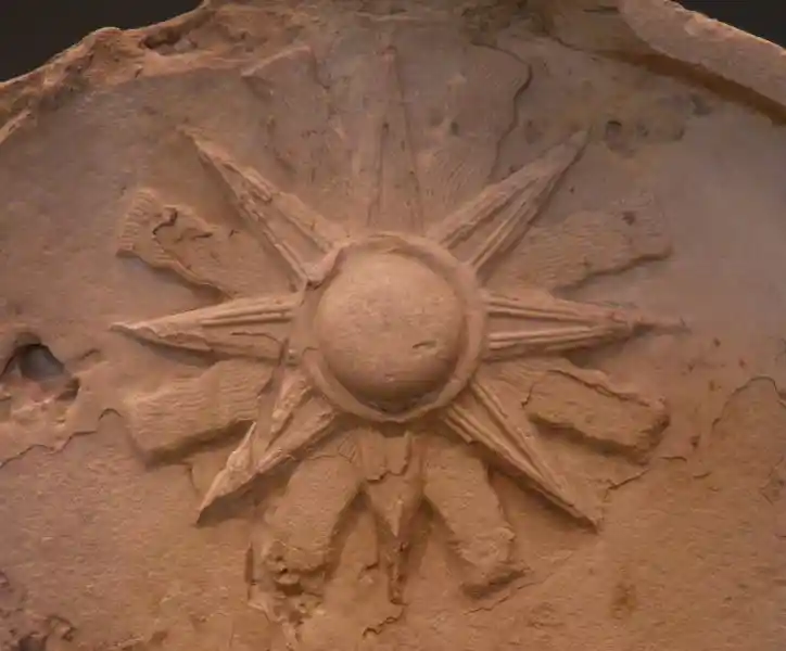 Top of stele, libation scene before a seated god, sun symbol